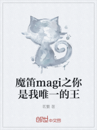 魔笛magi之你是我唯一的王